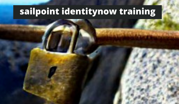 Sailpoint Identitynow Training